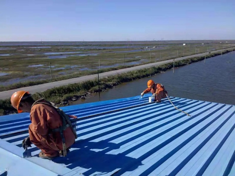 总口管理区彩钢瓦屋面防腐翻新